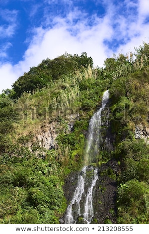 Stok fotoğraf: El Cabello Del Virgen Waterfall In Banos Ecuador
