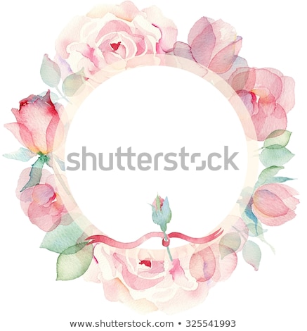 Stock fotó: Beautiful Painted Rose With Frames For Congratulations Or Invita