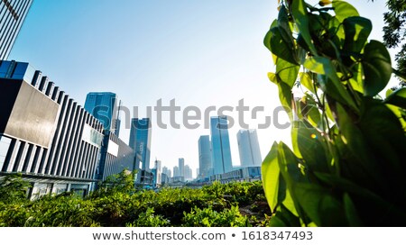 Stock foto: Highrise Buildings