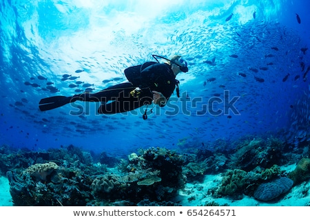 Foto stock: Woman Diver At Tropical Coral Reef Scuba Diving In Tropical Ocea