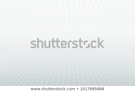 Stok fotoğraf: Perspective Grid White And Grey Ethereal Background Vector Horizon Design Minimal Concept