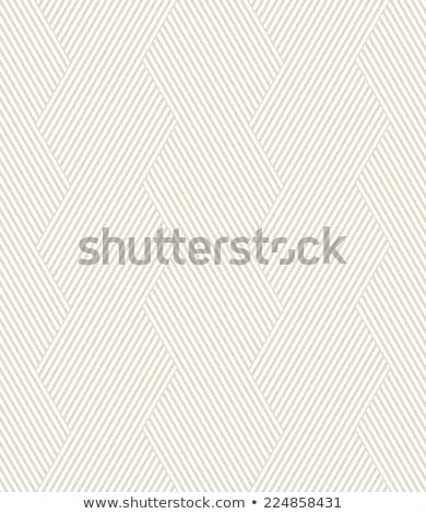 Stok fotoğraf: Vector Seamless Lattice Pattern Modern Stylish Texture With Monochrome Trellis Repeating Geometric