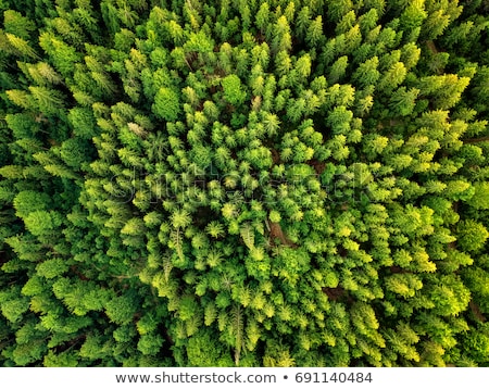 [[stock_photo]]: Aerial View Of Landscape From Airplane