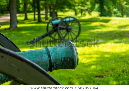 ストックフォト: Civil War Cannons At White House