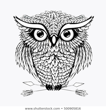 Сток-фото: Decorative Owl Ethnic Pattern