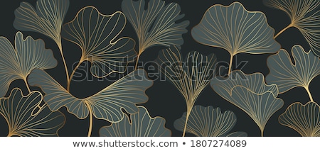 Foto stock: Ginkgo