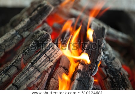 Beautiful Fire With Flames Charred Wood Stockfoto © mcherevan