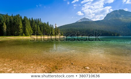 Foto d'archivio: Montenegro Evening Meadows In Mountains