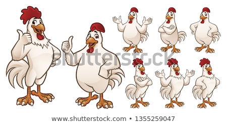 Foto stock: Rooster Cartoon Mascot Vector