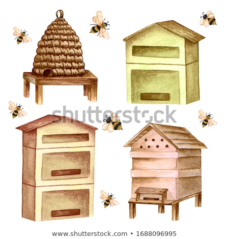 Сток-фото: Beehives In The Garden