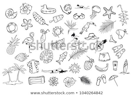 [[stock_photo]]: Diving Flippers Hand Drawn Outline Doodle Icon