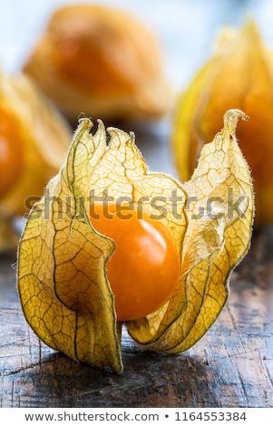 Stok fotoğraf: Physalis Peruviana Fruit