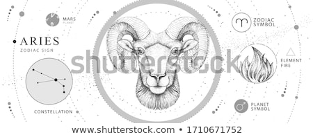 [[stock_photo]]: Aries