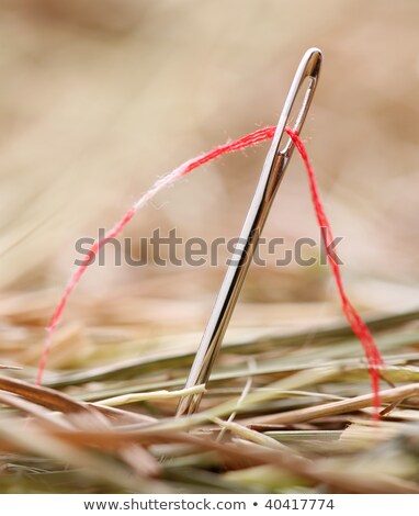 Foto stock: Concept Of Persistence - Needle And Thread