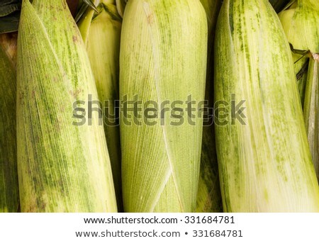 Stok fotoğraf: Corncob Ready For The Farmers Marked