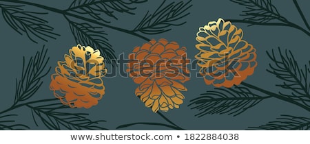 Foto stock: Pinecone