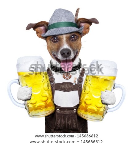 Stock foto: Bavarian Beer Dog