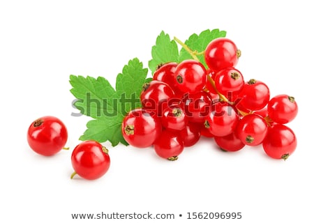 Stockfoto: Red Currant