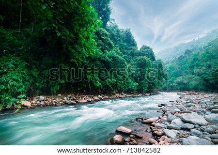 ストックフォト: Tropical Rainforest Landscape With Flowing River