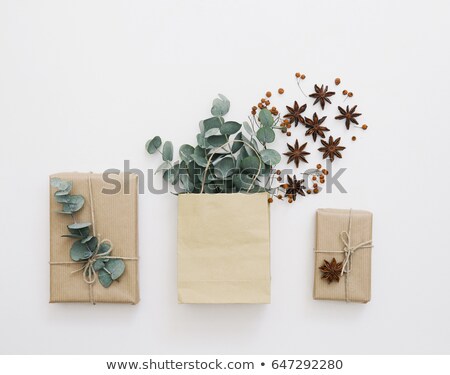 Foto stock: Board On Spring Over White Background