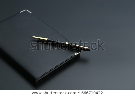 Stock foto: Business Organizer And Pen
