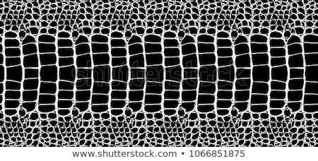 Foto stock: Crocodile Skin