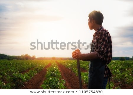 [[stock_photo]]: Farmer Working On His Laptop