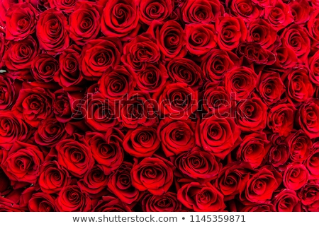 Stok fotoğraf: Floral Valentine Background