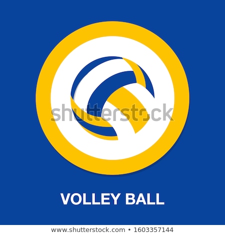 Foto stock: Lustración · de · vector · de · voleibol