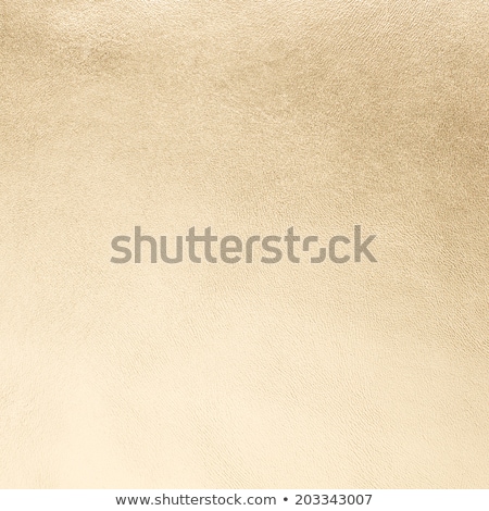 Golden Color Leather Foto stock © homydesign