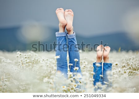 Foto stock: Indas · Pernas · e · Flor · Margarida