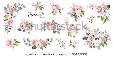 Stock photo: Pink Flower Floral Background