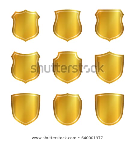 Stock fotó: Protected Golden Vector Icon Design