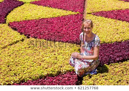 Foto stock: Dutch Woman As Tourist In Botanical Garden