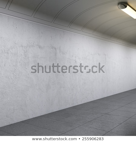 ストックフォト: Long Empty Tunnel With Lamps