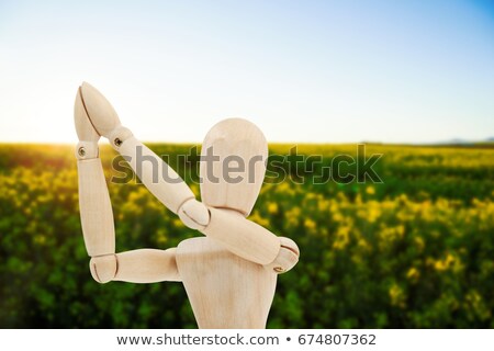 Zdjęcia stock: Wooden Figurine Standing With Both The Hands Joined