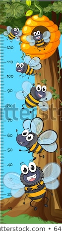 商業照片: Height Measurement Chart Bees Flying