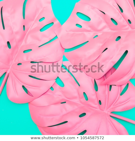 Stock fotó: Monstera Leaf On Pink Pastel Background Flat Lay