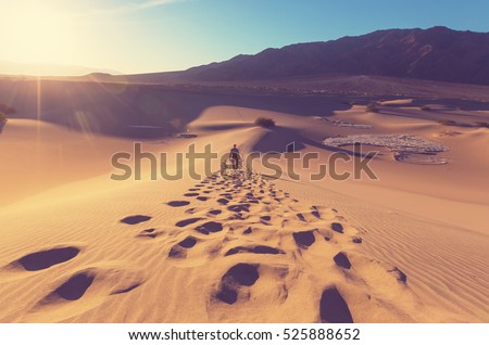 Stock fotó: Hike In Desert