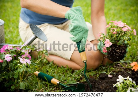 Stock fotó: Planting In The Garden