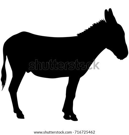 Stock photo: Donkey Silhouette
