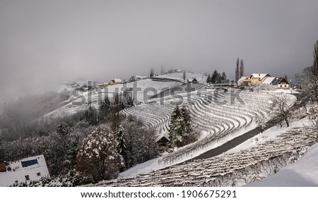 Foto stock: Tuscany Winter Rural Landscape Countryside Farm White Road An