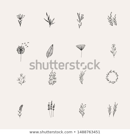 ストックフォト: Natural Organic Cosmetics With Plants Herbs Doodle Vector Clipart