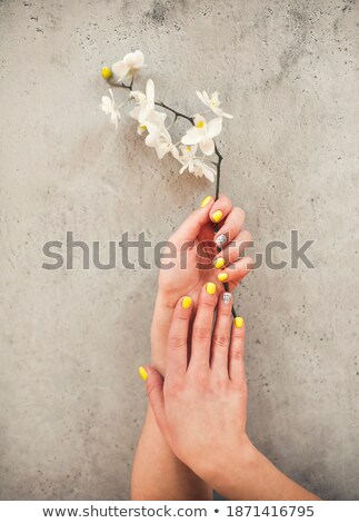 Foto stock: Crop Woman With Neat Manicure