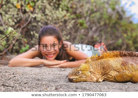 Stock fotó: Galapagos Islands Travel Experience Woman Tourist Excursion Visiting Looking At Animal In The Wild