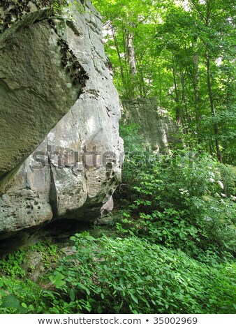 Stok fotoğraf: Sandstone Boulder And Tree