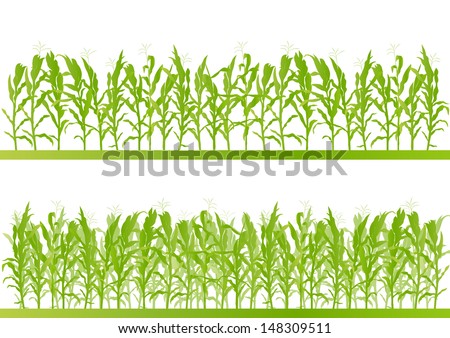 ストックフォト: Detail Of Corn Field