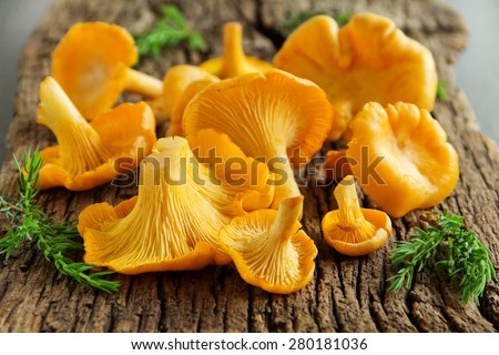 Stock photo: Chanterelles On Wooden Background