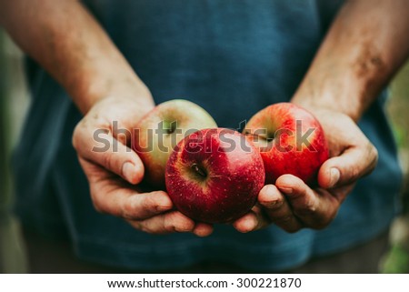 [[stock_photo]]: Hands With Apple