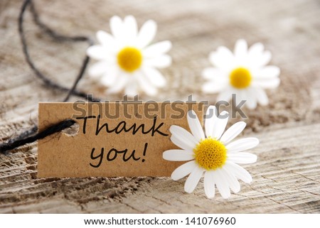 Thank You Greeting Card With Flower Zdjęcia stock © Nelosa